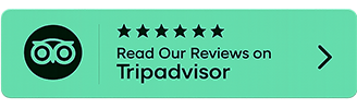 Tripadvisor Comments